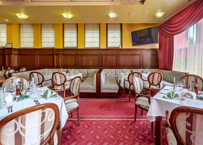 Chiirite 普罗夫迪夫